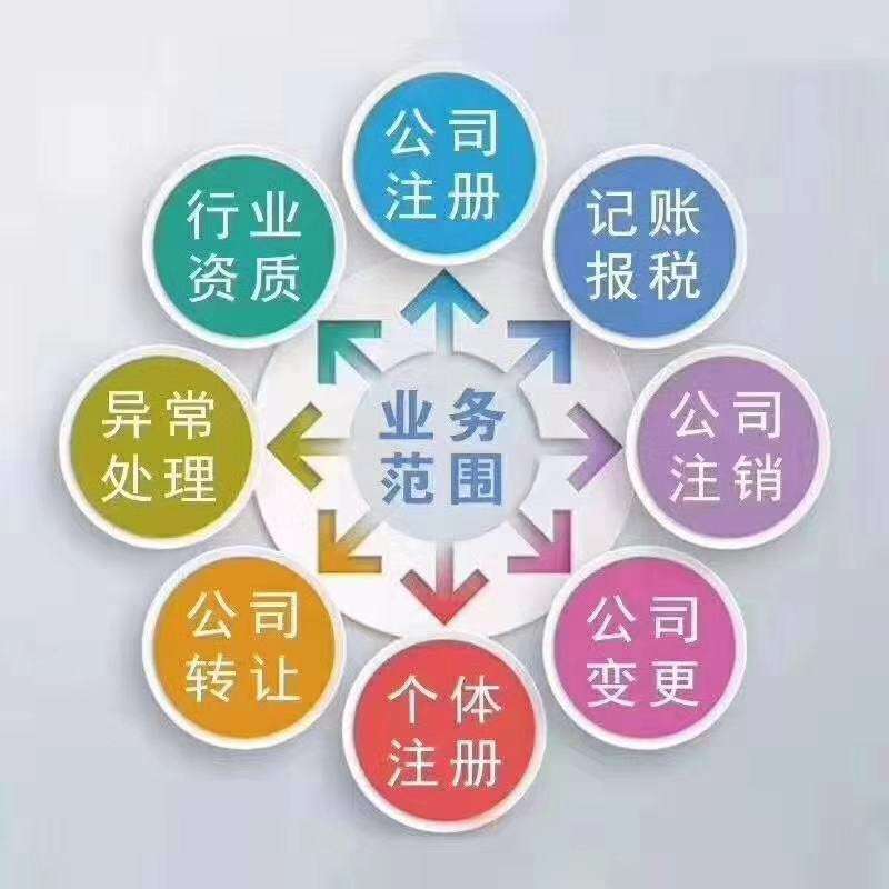 財(cái)稅咨詢公司(國內(nèi)資深財(cái)稅實(shí)務(wù)咨詢專家)