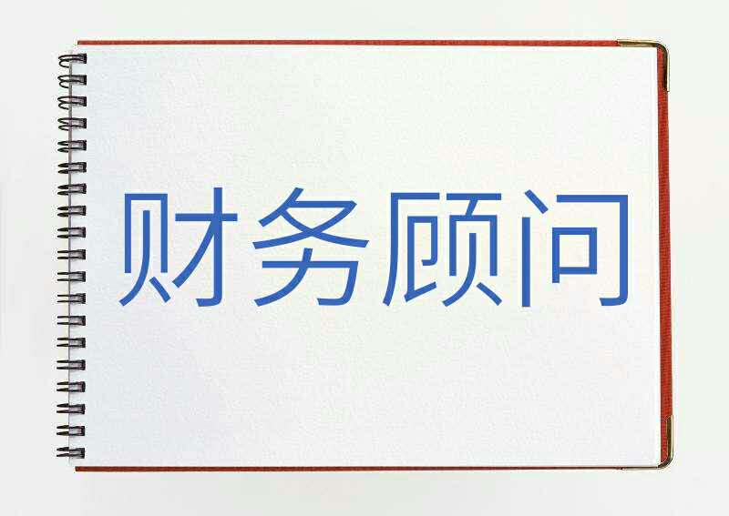 財務顧問公司(實施顧問可以轉(zhuǎn)財務嗎)