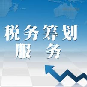 納稅籌劃的概念(企業(yè)納稅實(shí)務(wù)與籌劃)