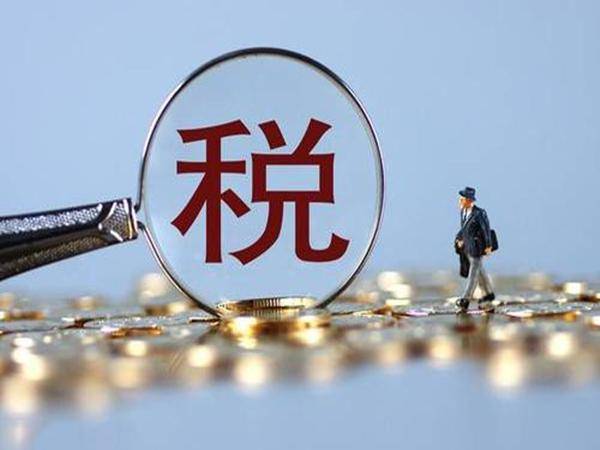 稅務信息(欠發(fā)達地區(qū)稅務信息技術人才隊伍建設問題與對策)